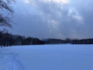 「門松の販売を始めます」の画像