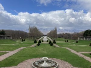 「前田森林公園　サクラ開花状況　4月22日」の画像