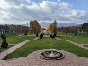 「ゆく秋　今朝の景色」の画像