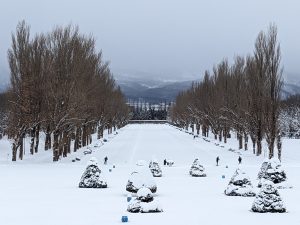 「本日の園内」の画像
