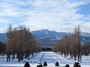 「今朝の様子（朝９時まで晴れていたのですが・・・）」の画像