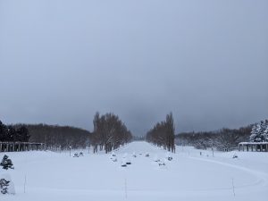 「今日の様子（手稲山は見えませんが・・・） ※1/17追記」の画像