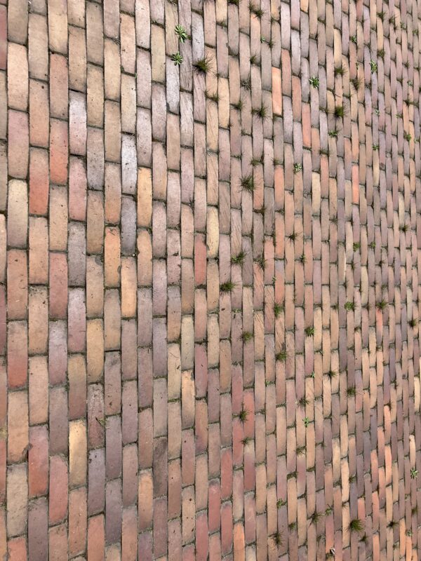 目地　除草比較