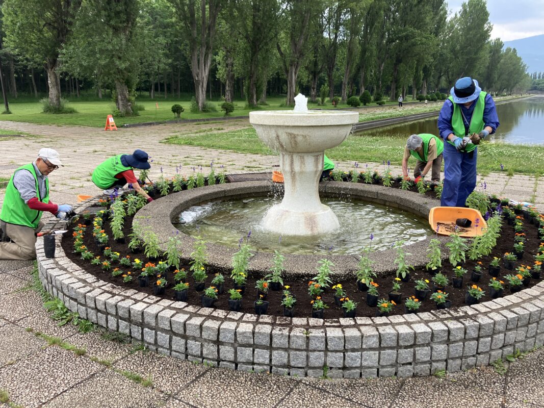 夏花壇植え替え