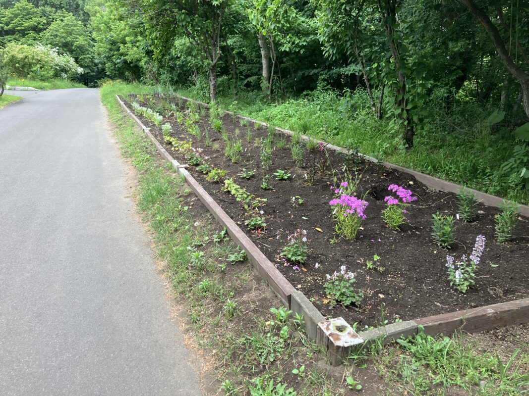 宿根ボーダー花壇