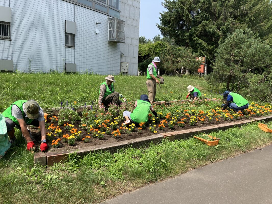 展望ラウンジ裏花壇　除草