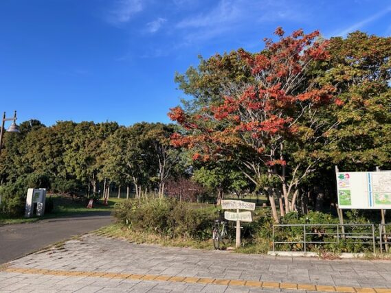 「園内樹木の様子」の画像