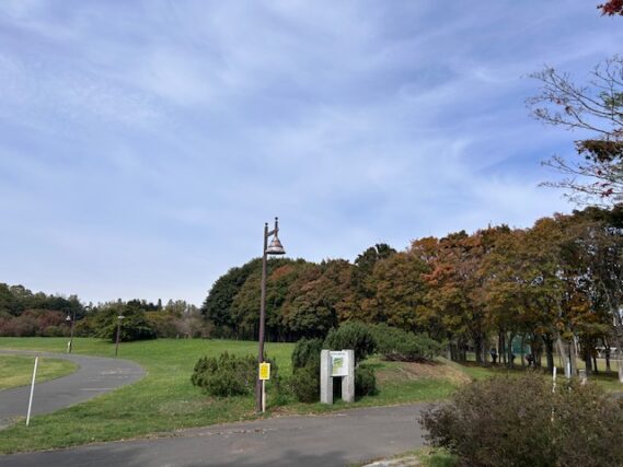 「園内樹木の様子（10月21日時点）」の画像