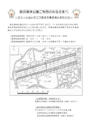 「カナール沿いポプラ剪定作業実施のお知らせ」の画像
