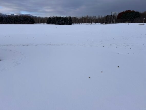 「前田森林公園パークゴルフ場営業終了」の画像