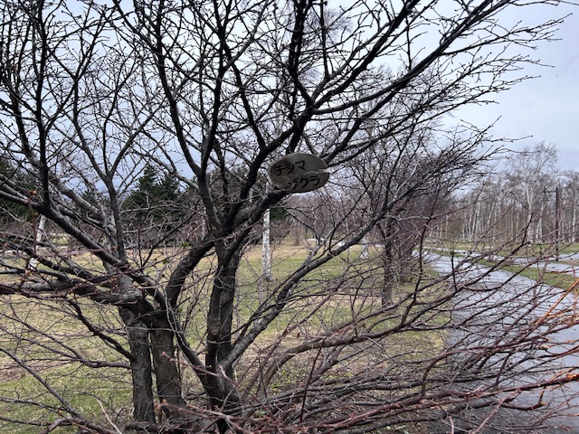 「園内植物【春の知らせ】」の画像