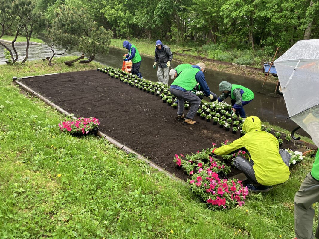 「ボランティア活動」の画像