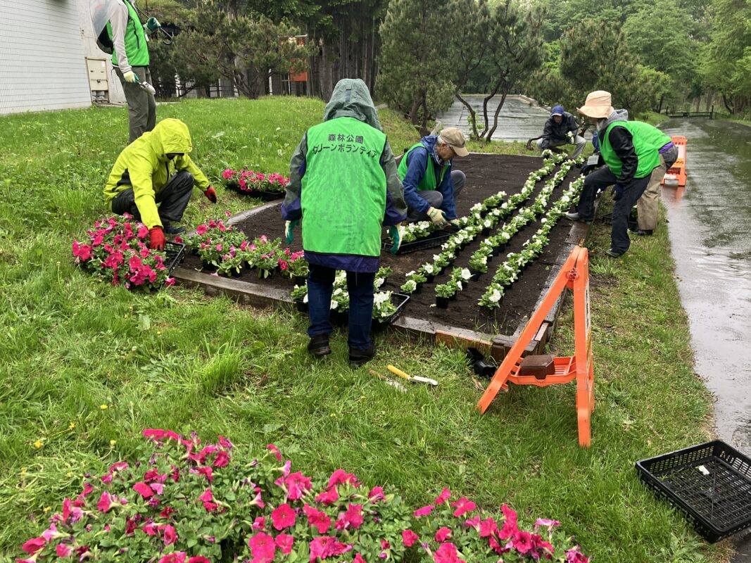 ボランティア活動②