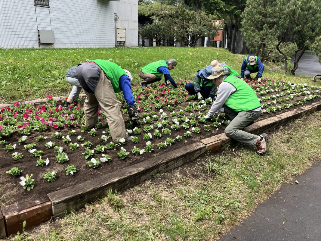 ボランティア活動③