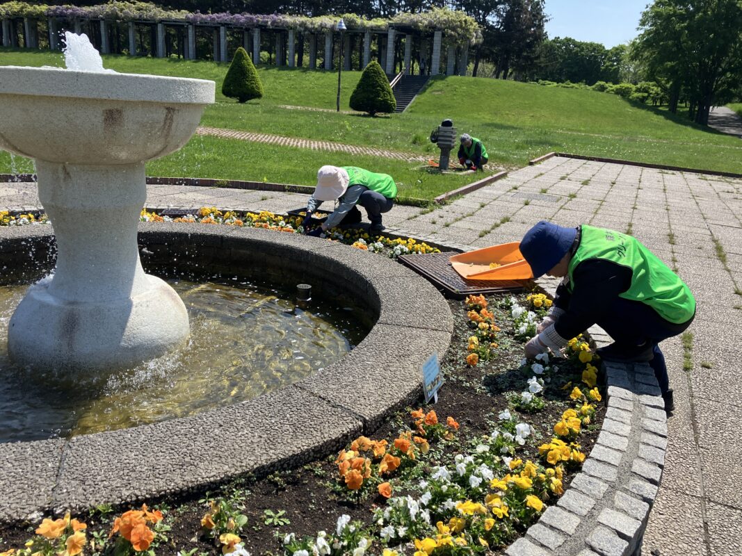 「ボランティア活動」の画像