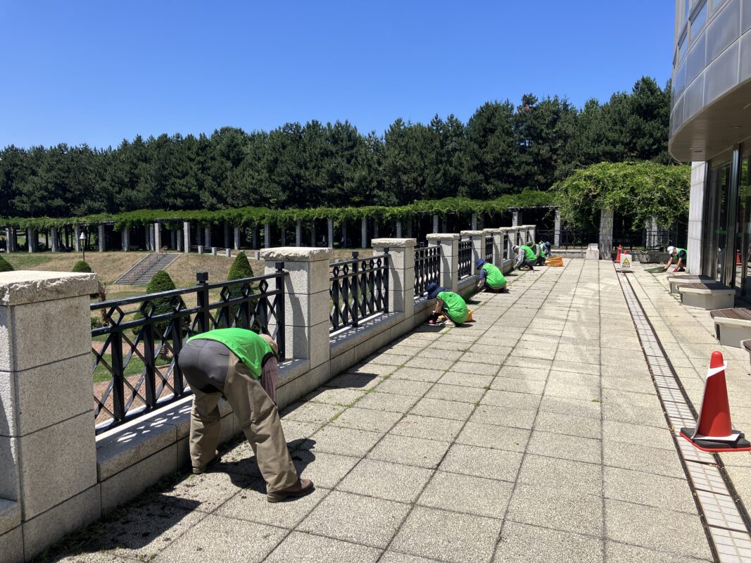 ラウンジ雑草取り①