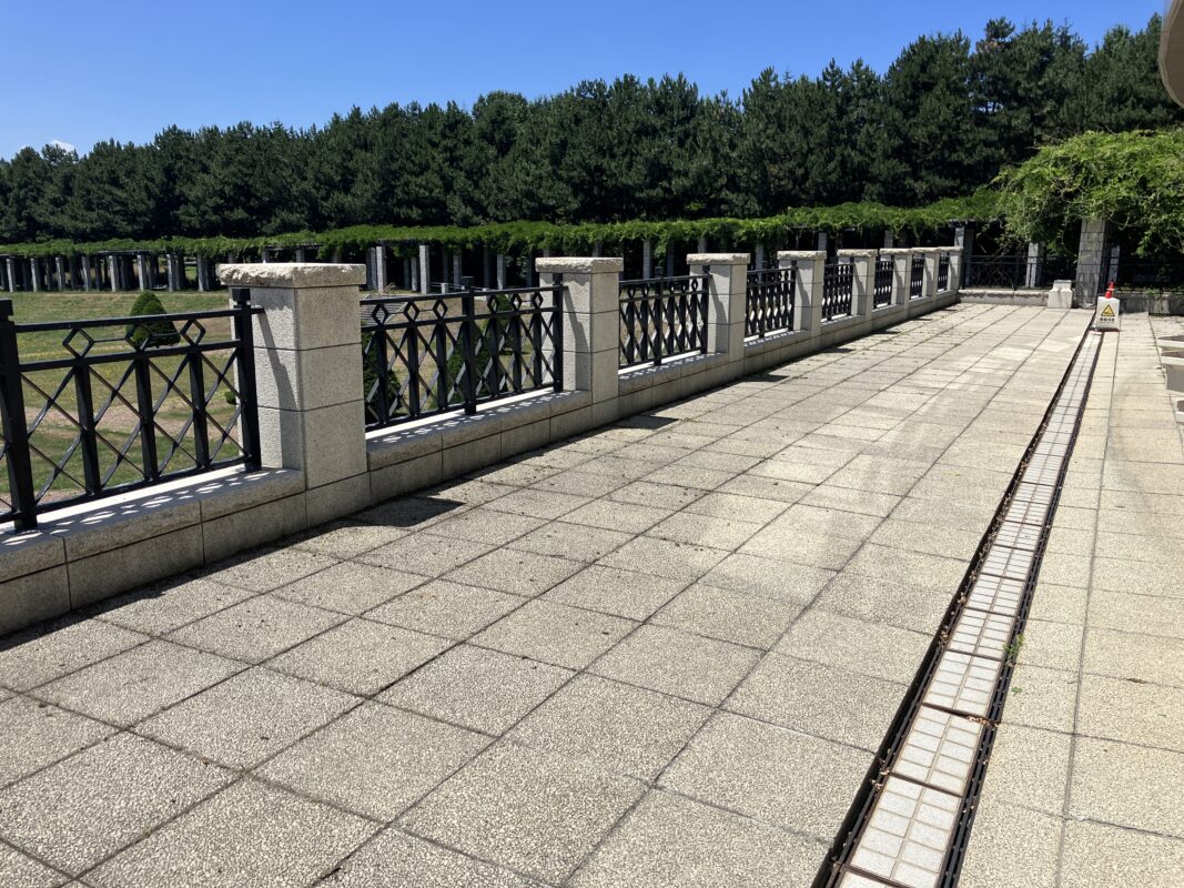 ラウンジ雑草取り②