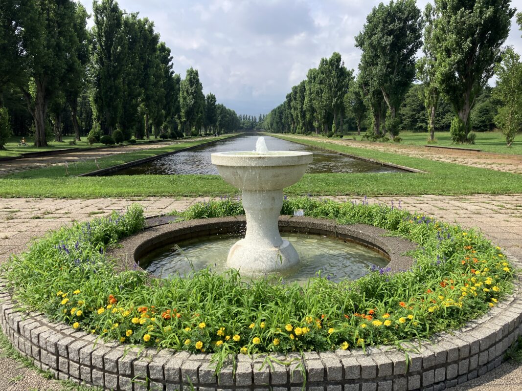 「ボランティア活動」の画像