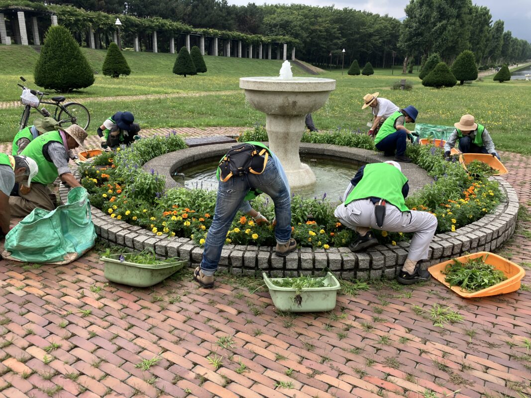 サンクガーデン花壇除草③