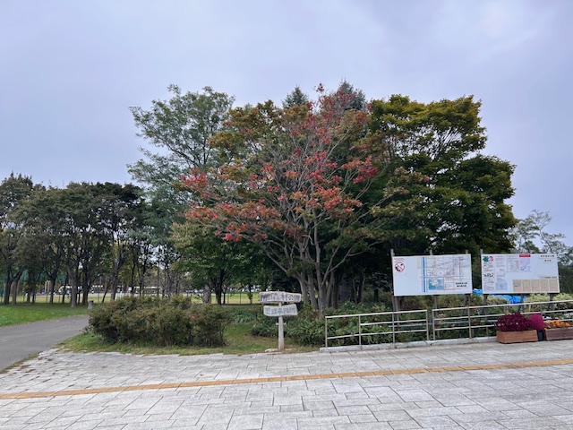 「園内樹木の様子」の画像