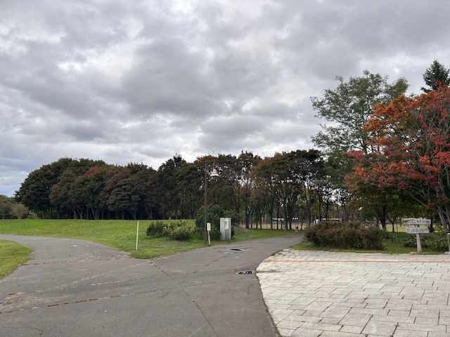 「園内樹木の様子」の画像