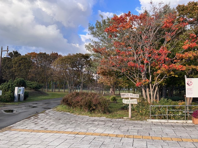 「園内樹木の様子」の画像
