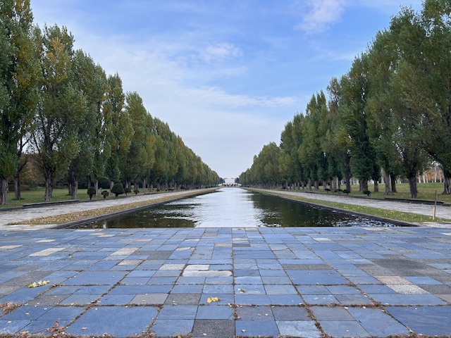 「園内樹木の様子」の画像