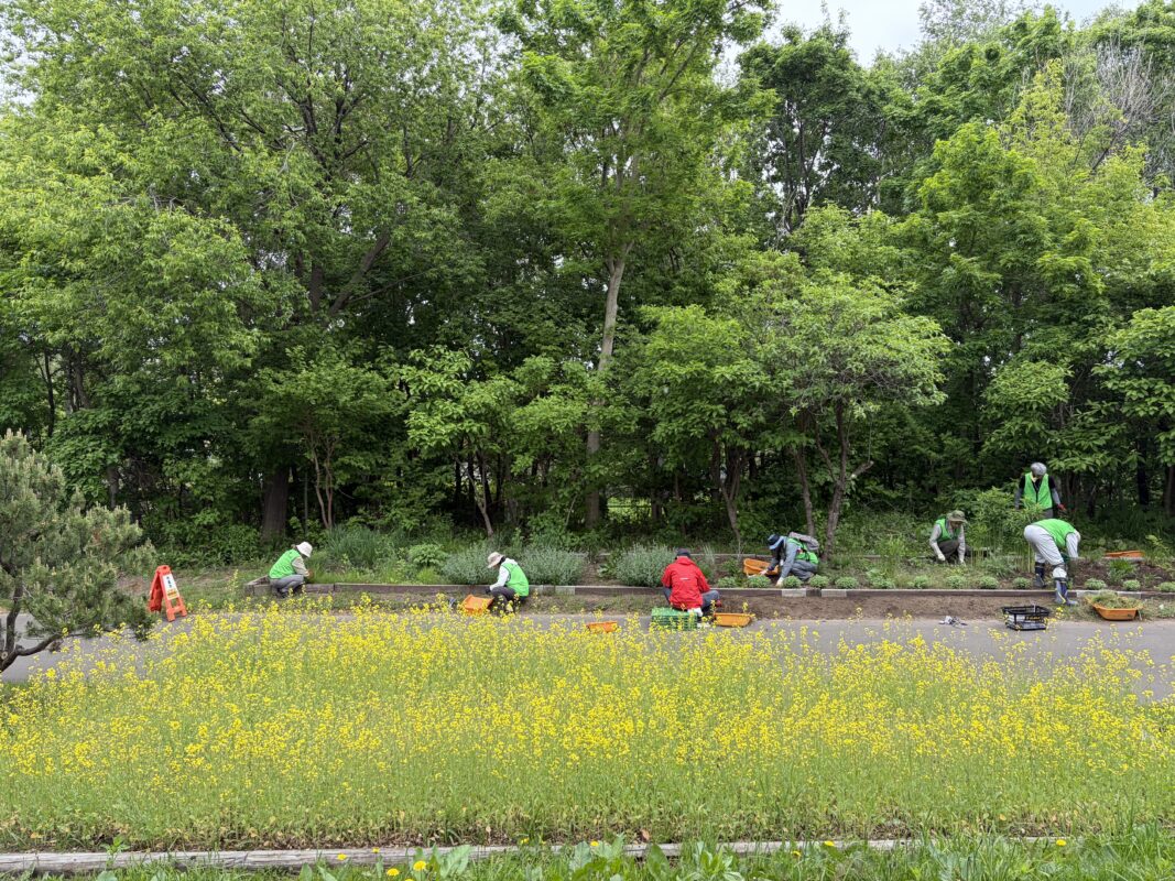 除草作業中2