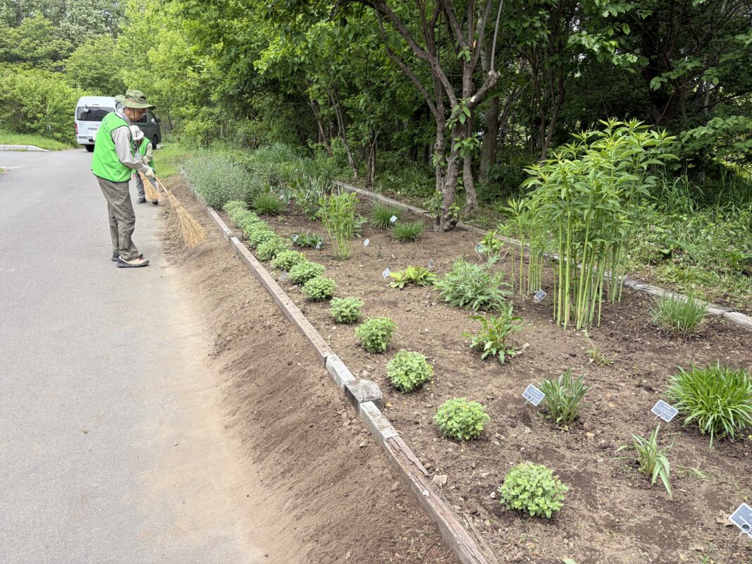除草作業終了