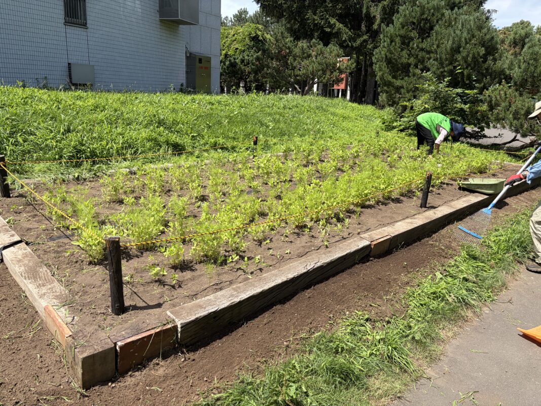除草完了