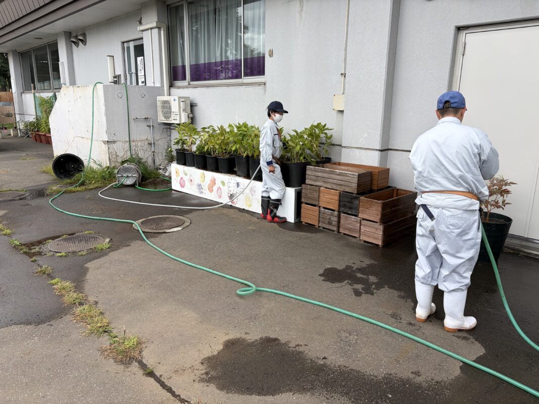 株分け作業3