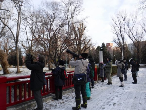 木にとまる野鳥を双眼鏡、カメラを構えて観察する参加者