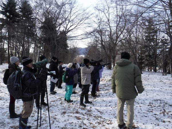 双眼鏡やカメラを一方向にむけ被写体をとらえる参加者