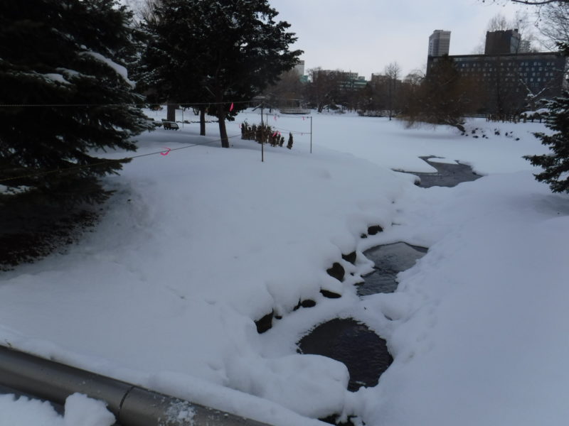 菖蒲池に流れ込む鴨々川の様子