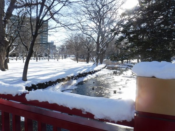護国神社付近を流れる鴨々川