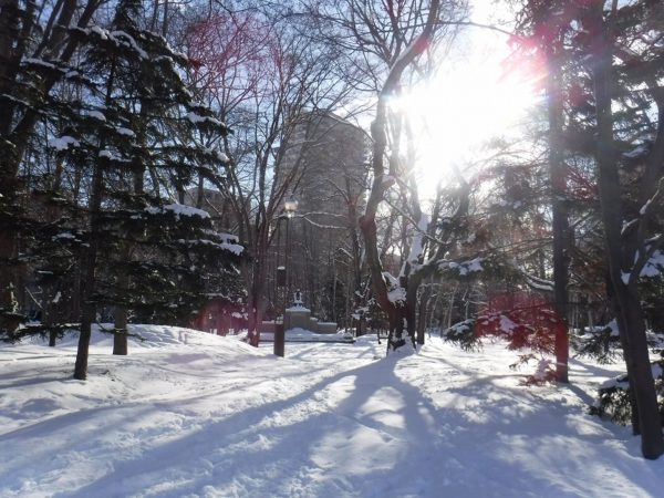 眩しい朝日と朝日に照らされた木下成太郎像周辺の様子