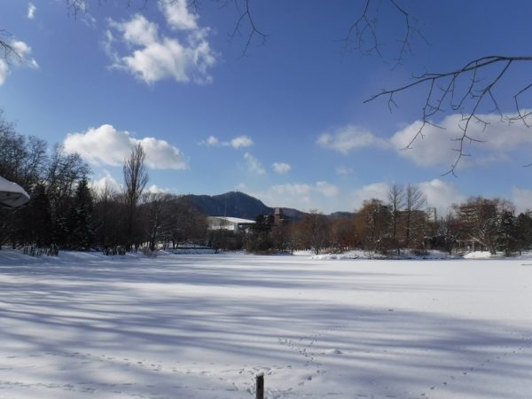 一面の雪景色となった菖蒲池