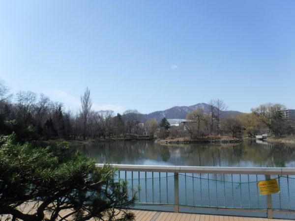 菖蒲池と、遠方に見える、まだ雪の残る藻岩山