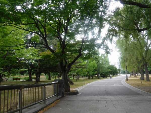 周囲が緑に囲まれた、人通りのない園路の様子