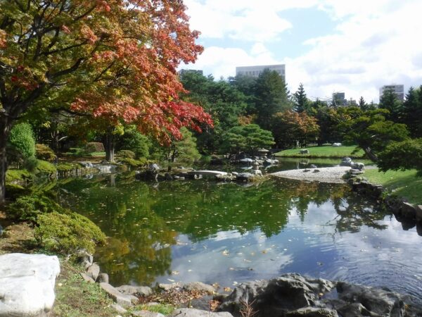 日本庭園内のモミジと池