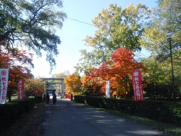護国神社、753の、のぼりの立つ参道