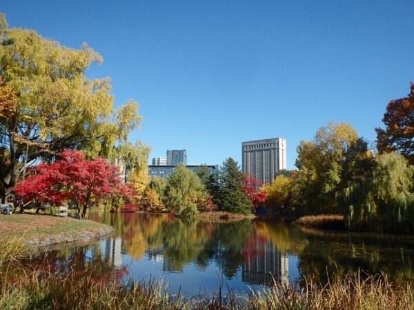 菖蒲池と青空と紅葉