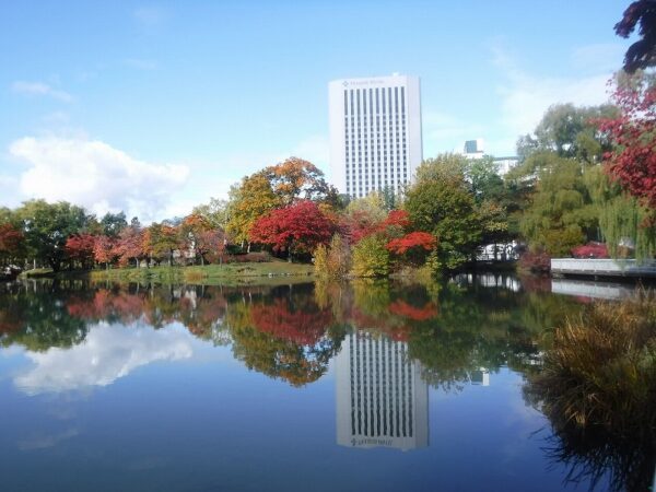 菖蒲池の周りの紅葉と、水面に映る青空