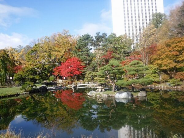 日本庭園内の紅葉と池