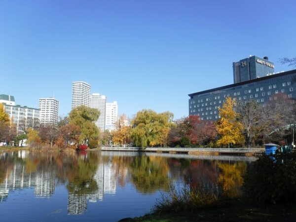 澄み渡る青空と菖蒲池