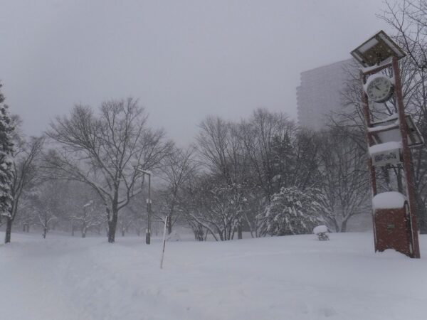 吹雪いている園内