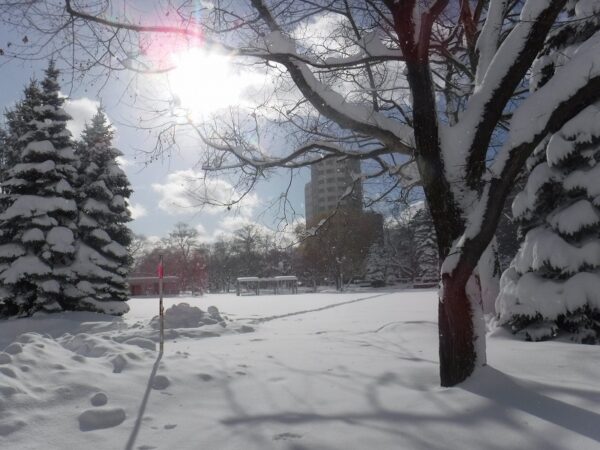 眩しい日の差す、一面雪景色の自由広場