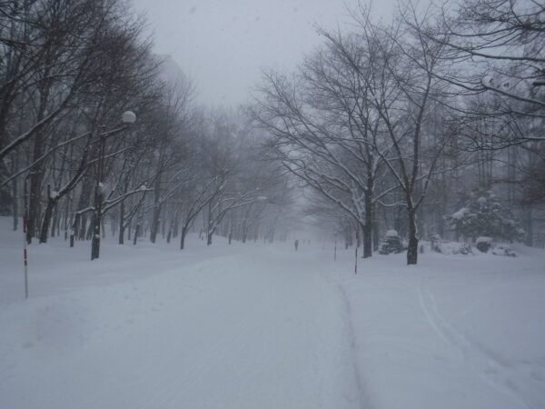 吹雪の中の大園路