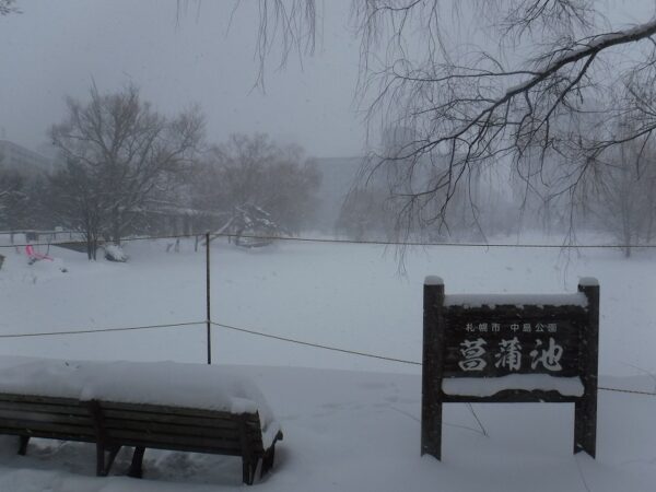 一面雪に覆われた菖蒲池