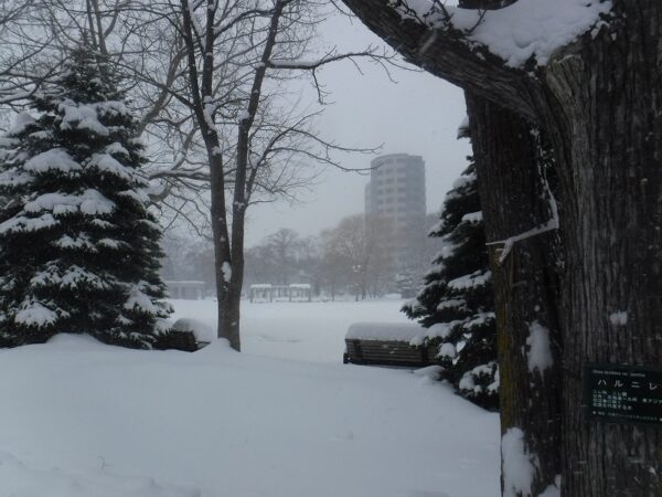 深く雪の積もった自由広場